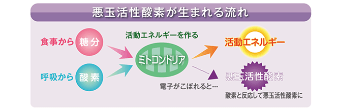 suiso_.gif