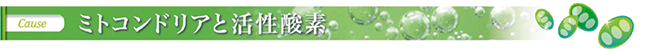 suiso_2.gif