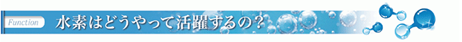 suiso_5.gif